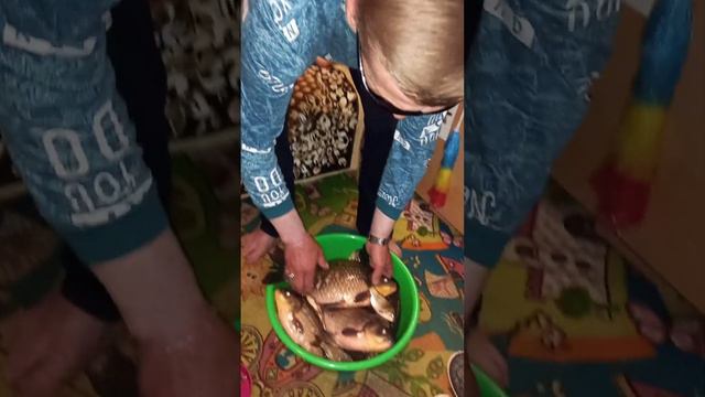 Супер караси в озерах города Челябинска смотреть онлайн