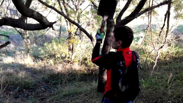 Вот будет осень - поедем на дачу, в руки лопаты, ... )) смотреть онлайн