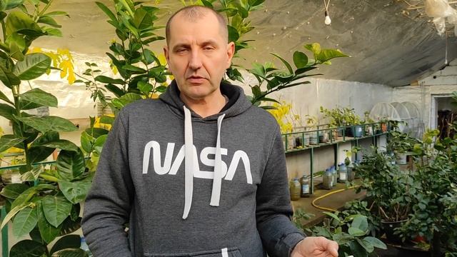 Теплица в начале зимы. На весну большие ожидания) смотреть онлайн