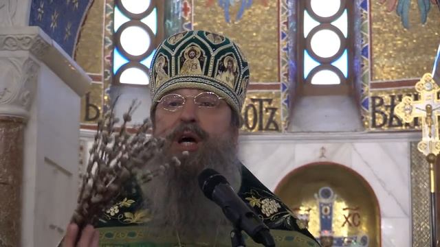 "Веточки вербы – наше знамя победы". Слово архимандрита Мелхиседека (Артюхина) смотреть онлайн