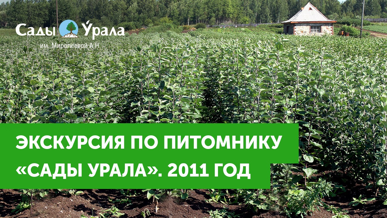 Экскурсия по Питомнику Сады Урала. Телепередача Земля Уральская. Архив 23.06.2011 смотреть онлайн