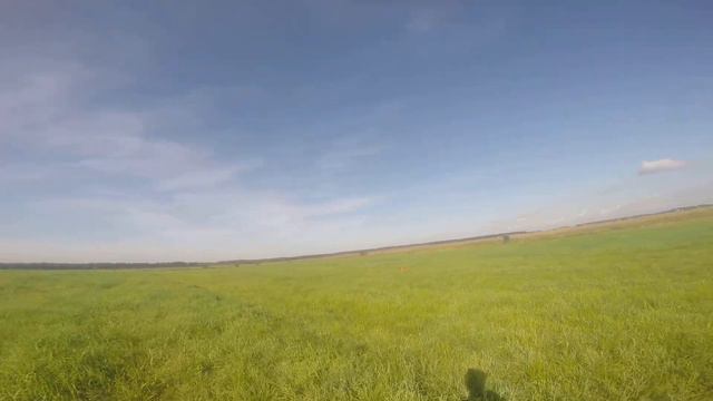 2 собаки пустырь ,охота с легавыми смотреть онлайн