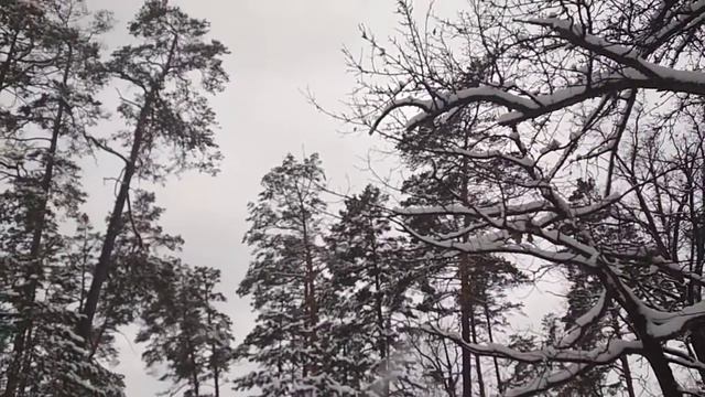 7 января Рождество смотреть онлайн