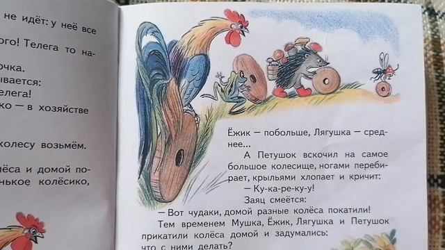 Читаем сказки Сутеева 