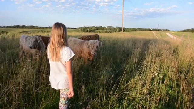 Наша вольная летняя жизнь, часть 16. Коровушки смотреть онлайн