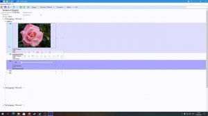 Краткий гайд по Siquester