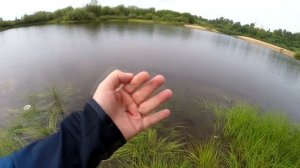 на озеро за окунем с Zemex Aurora 662UL