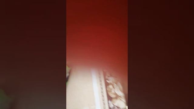 Кулинарные проекты