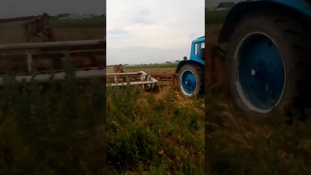 Сенокосилка прицепная 3.30 захват смотреть онлайн