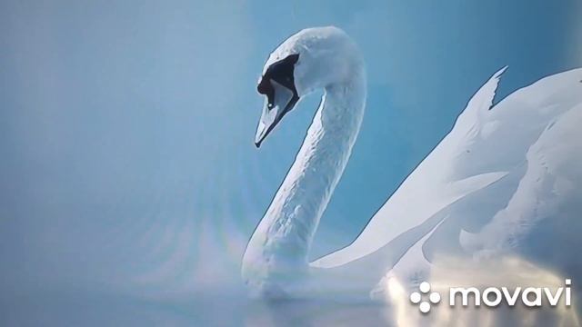 Стихотворение Сергея Есенина - Письмо к женщине смотреть онлайн