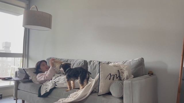 A realistic day in the life of a UX Researcher (fully remote) - what do I do all day смотреть онлайн