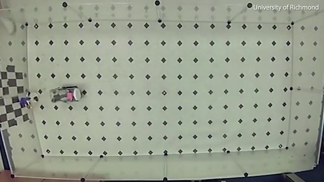 Американские учёные научили крыс управлять маленьким автомобилем. смотреть онлайн