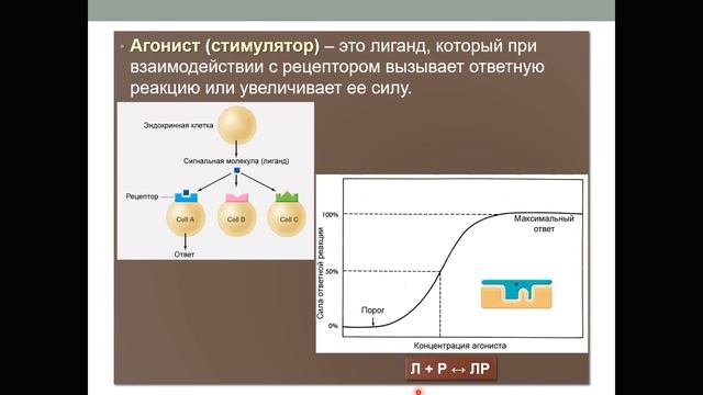 Основы информационного обмена клетки с окружающей средой. Часть 1 смотреть онлайн