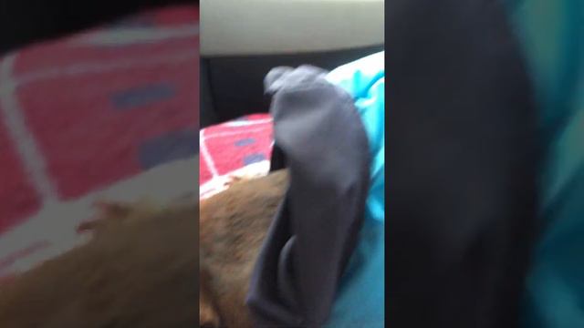 Поездка на Валдай (07.01.2021)- часть 2 смотреть онлайн