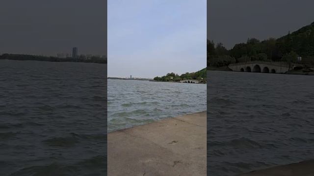 Puppy watching Five Mile Lake|小狗觀看五里湖|小狗观看五里湖 смотреть онлайн