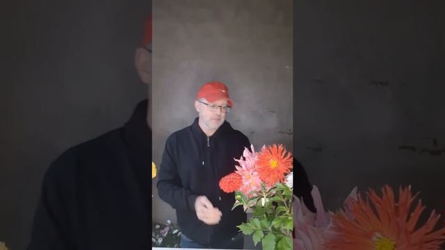 #Георгин в азбука_цветов с Павлом Горбенко #полезныесоветы