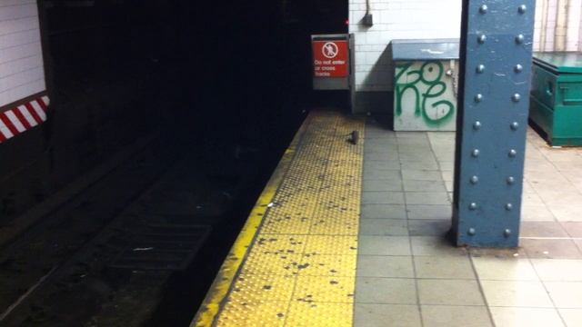 Another RAT on the NYC Subway Platform смотреть онлайн