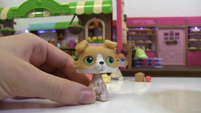 LPS Sweetheart Characters Unboxing (I SOLD them?!) смотреть онлайн