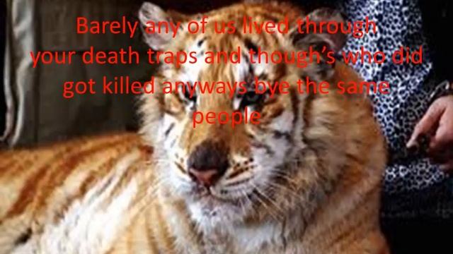 SAVE THE GOLDEN TABBY TIGER смотреть онлайн