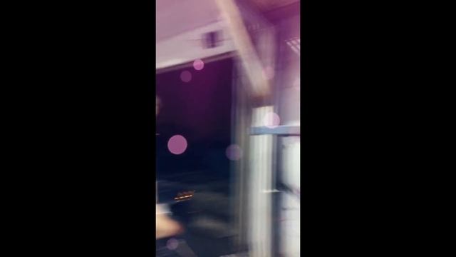 VLOG! April 2018 - Приобретение Русского Лоурайдера, Стёпа Скаро, рыжий котик смотреть онлайн