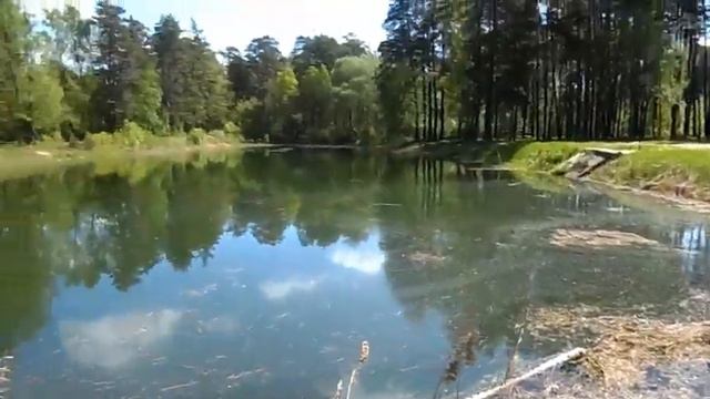 Озеро в бору, недалеко от Калуги смотреть онлайн