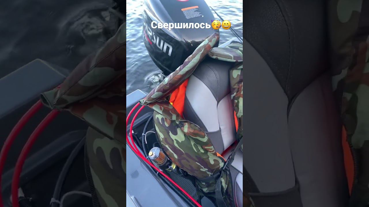 PARSUN F40FEL-T-EFI и Фортис 460Z