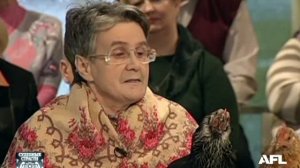 Судебные страсти. Корова в квартире / Crazy Court. Cow In The Apartment