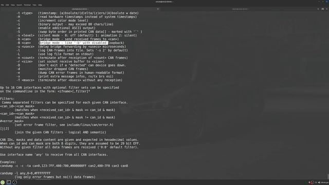 Can-utils Candump Explained. CANbus Communications 101