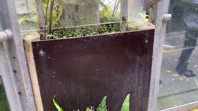 ZOO TALLINN/ TALLINNA ZOO/ ТАЛЛИННСКИЙ ЗООПАРК смотреть онлайн