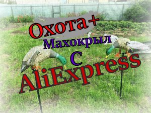 Махокрыл с Китая с сайта AliExpress. Обзор махокрыла Китай. Чучела с Китая. #Махокрыл #алиэкспресс