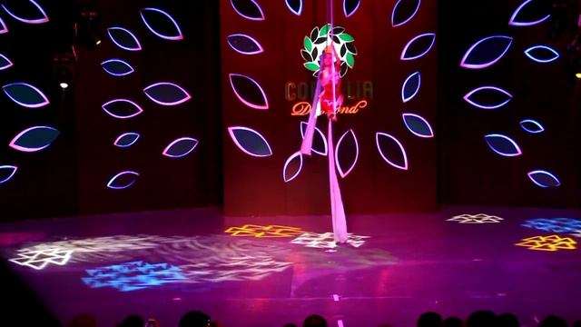 ВОЗДУШНЫЕ ПОЛОТНА. ЦИРК МАУГЛИ смотреть онлайн