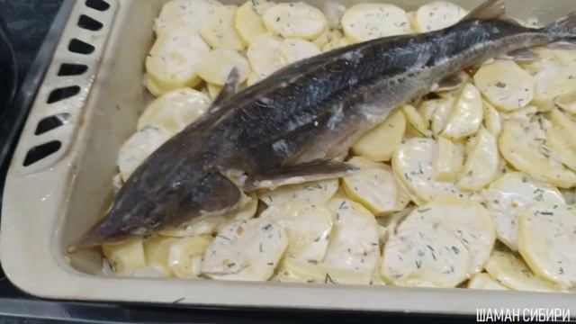 Кулинарные Угощения для Гостей