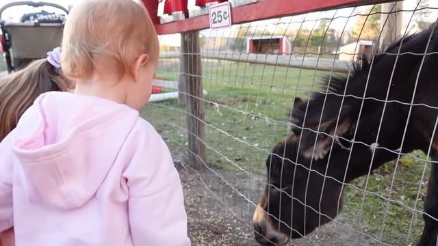 Все будут в Шоке// Мы так рады, что вырвались//Челлендж неделя 30! смотреть онлайн