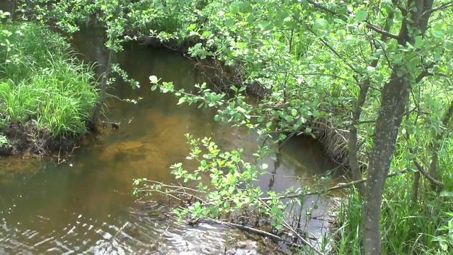 Гжель Речка Сеченка смотреть онлайн