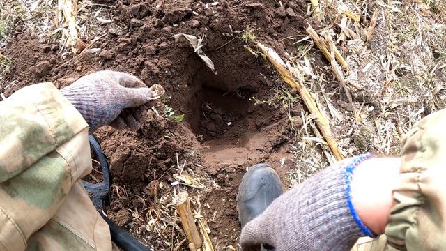 Поиск монет 12 10 2022 смотреть онлайн