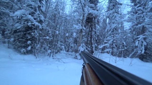 Первый раз на охоте. Охота на лося // Пермский край смотреть онлайн