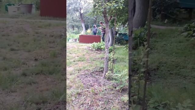 В песочнице на даче Академсады смотреть онлайн