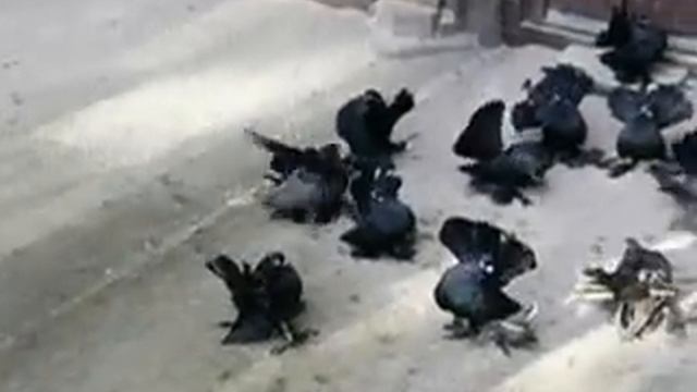 РОСТОВСКИЙ СТАТНЫЙ ТУРМАН Rostower.MOV смотреть онлайн