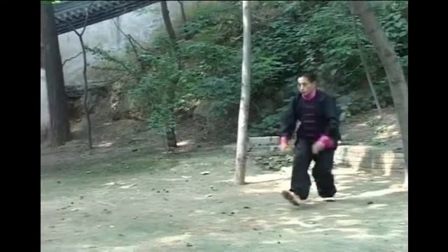 Тайцзи Чэнь, меч Цзянь. 3 дорожка.