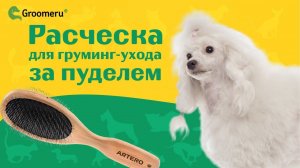 Расческа для груминг-ухода за пуделем: Наталья Кулешова рекомендует Артеро