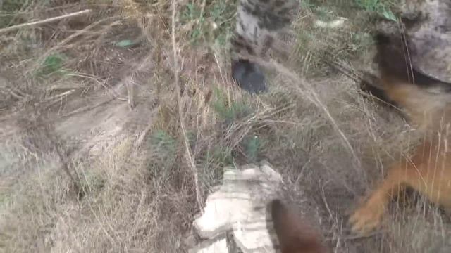 Сложно поверить, глаза на выкат! За 9 лет впервые! смотреть онлайн