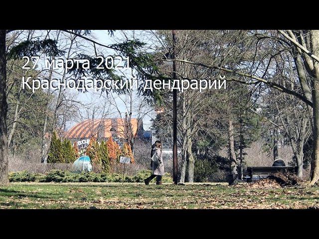 прогулка по солнечному Дендрарию в конце марта смотреть онлайн