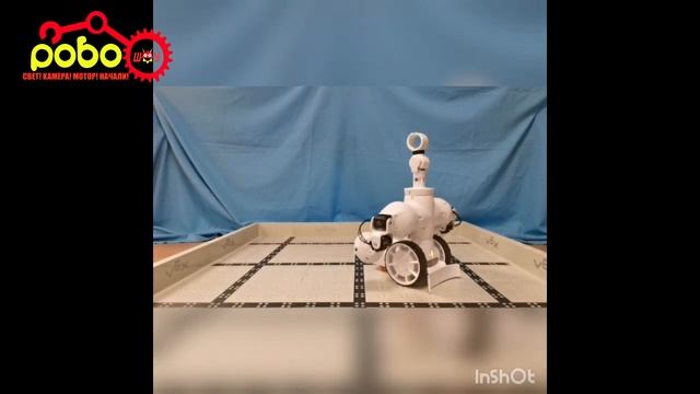 RobiVex танец цветка смотреть онлайн