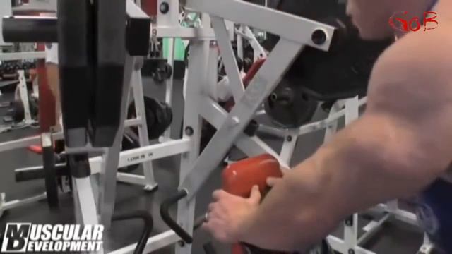 Дэнис Вульф