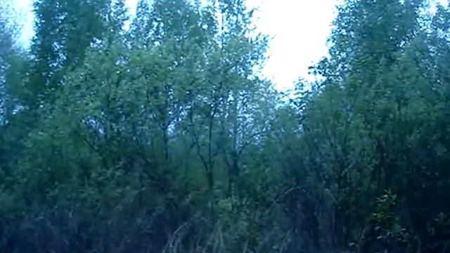 Соловьиная роща.MPG смотреть онлайн