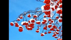 "Белый, синий, красный" remix