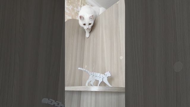 Кошка на 3D принтере смотреть онлайн