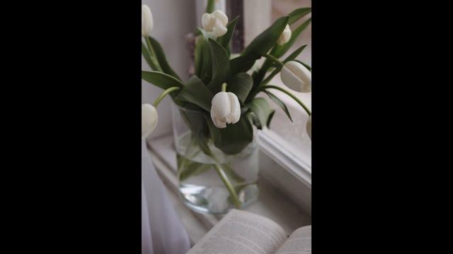 Clearwater Tulip