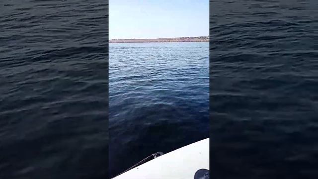 Ямаха 6 л.с. и лодка регата 310 нднд. смотреть онлайн