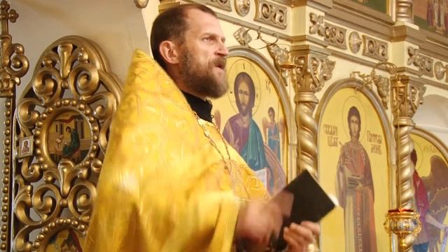 Протоиерей Виктор Иванов. Нужно ли учить и воспитывать? 27.08.2017 г. смотреть онлайн